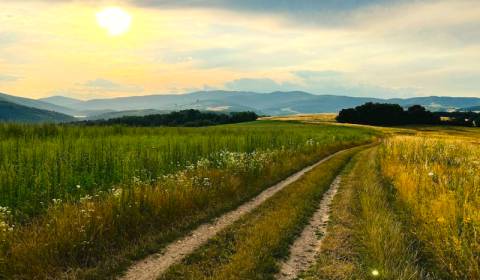 Eladó Mezőgazdasági és erdei telkek, Mezőgazdasági és erdei telkek, Sp