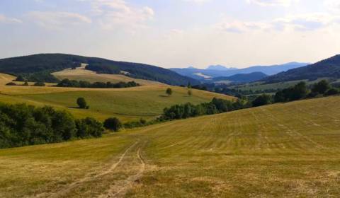 Eladó Mezőgazdasági és erdei telkek, Mezőgazdasági és erdei telkek, Pú