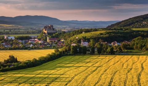 Eladó Mezőgazdasági és erdei telkek, Mezőgazdasági és erdei telkek, No