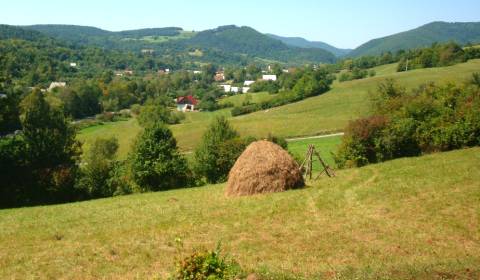 Eladó Mezőgazdasági és erdei telkek, Mezőgazdasági és erdei telkek, Po