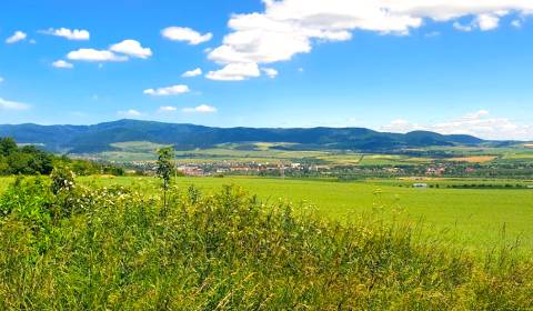 Eladó Mezőgazdasági és erdei telkek, Mezőgazdasági és erdei telkek, Sa