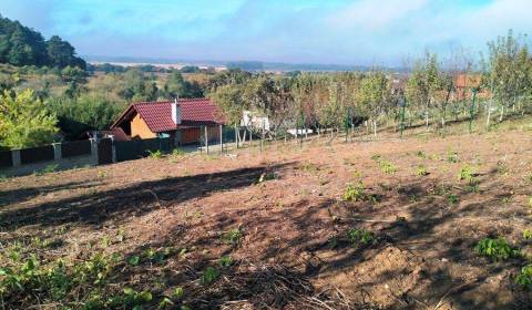 Eladó Kertek, Kertek, Nové Mesto nad Váhom, Szlovákia