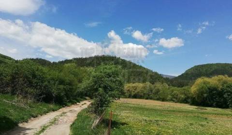 Eladó Mezőgazdasági és erdei telkek, Mezőgazdasági és erdei telkek, Ba