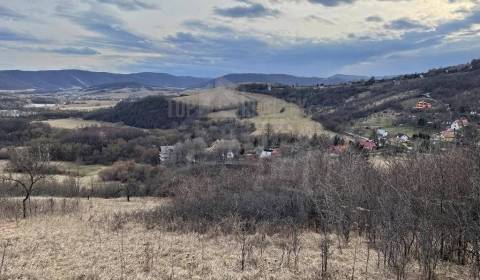 Eladó Mezőgazdasági és erdei telkek, Mezőgazdasági és erdei telkek, Ro