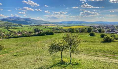 Eladó Mezőgazdasági és erdei telkek, Mezőgazdasági és erdei telkek, Ži