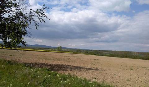 Vásárlás Építési telek, Építési telek, Pezinok, Szlovákia