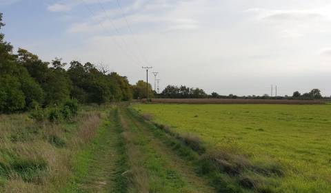 Eladó Üdülőtelkek, Üdülőtelkek, Potočná, Pezinok, Szlovákia