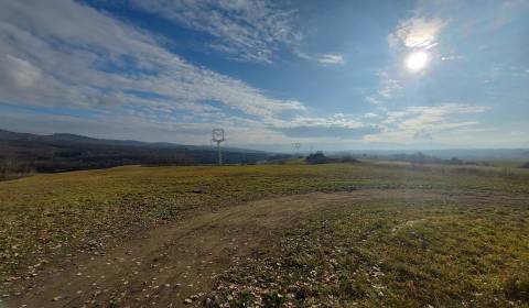 Eladó Mezőgazdasági és erdei telkek, Mezőgazdasági és erdei telkek, Ži