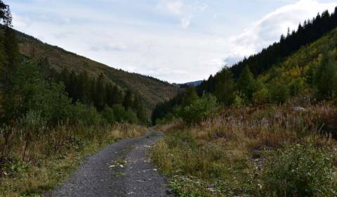 Eladó Mezőgazdasági és erdei telkek, Mezőgazdasági és erdei telkek, Pr