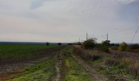 Eladó Mezőgazdasági és erdei telkek, Mezőgazdasági és erdei telkek, Pe