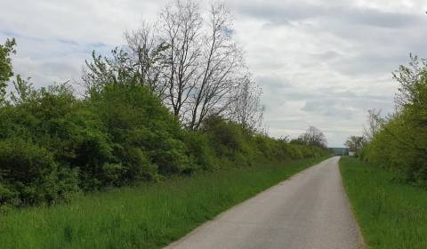 Eladó Mezőgazdasági és erdei telkek, Mezőgazdasági és erdei telkek, Pe