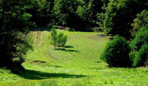 Eladó Üdülőtelkek, Üdülőtelkek, Banská Bystrica, Szlovákia