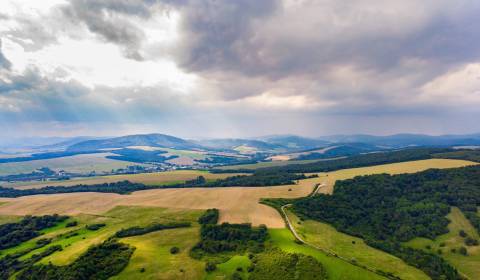 Eladó Mezőgazdasági és erdei telkek, Mezőgazdasági és erdei telkek, Sv