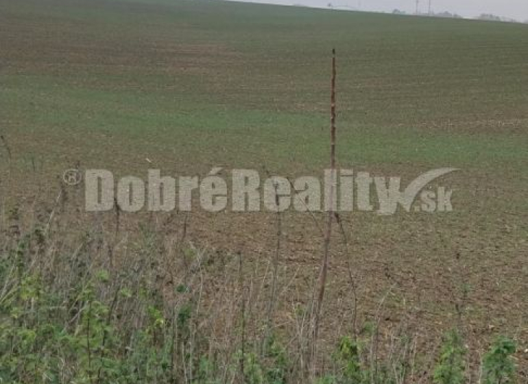 Nitra Mezőgazdasági és erdei telkek eladó reality Nitra