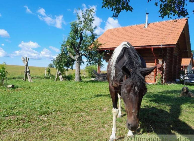 Zemiansky Vrbovok Nyaraló eladó reality Krupina