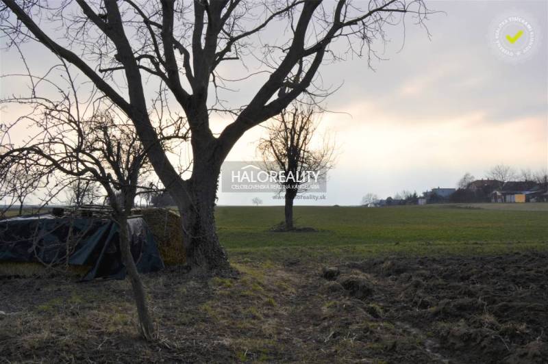 Radošina Családi ház eladó reality Topoľčany