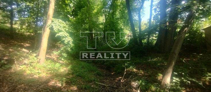 Stará Turá Üdülőtelkek eladó reality Nové Mesto nad Váhom