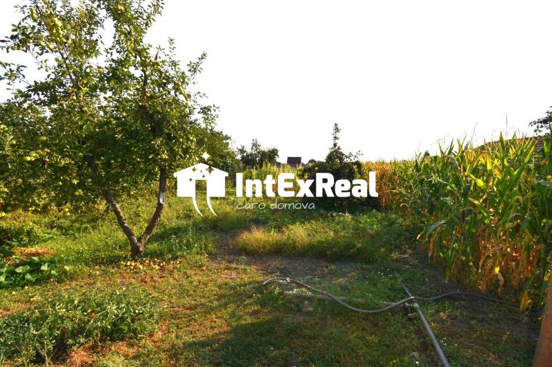 Rodinný dom v srdci obce, predaj, 10 á,  Veľké Úľany, viac na: https://reality.intexreal.sk/