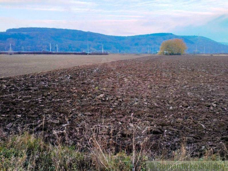 Trenčianske Bohuslavice Mezőgazdasági és erdei telkek eladó reality Nové Mesto nad Váhom