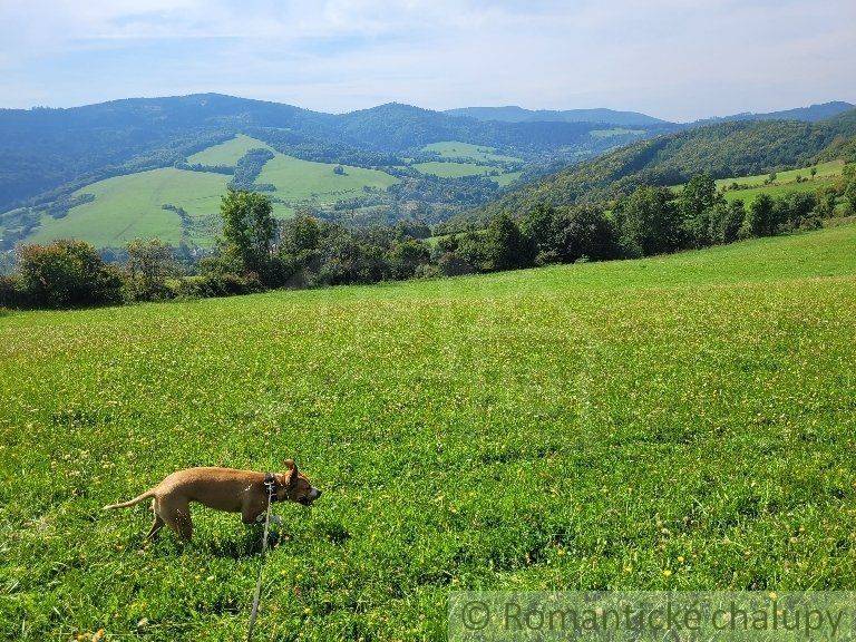 Púchov Kertek eladó reality Púchov