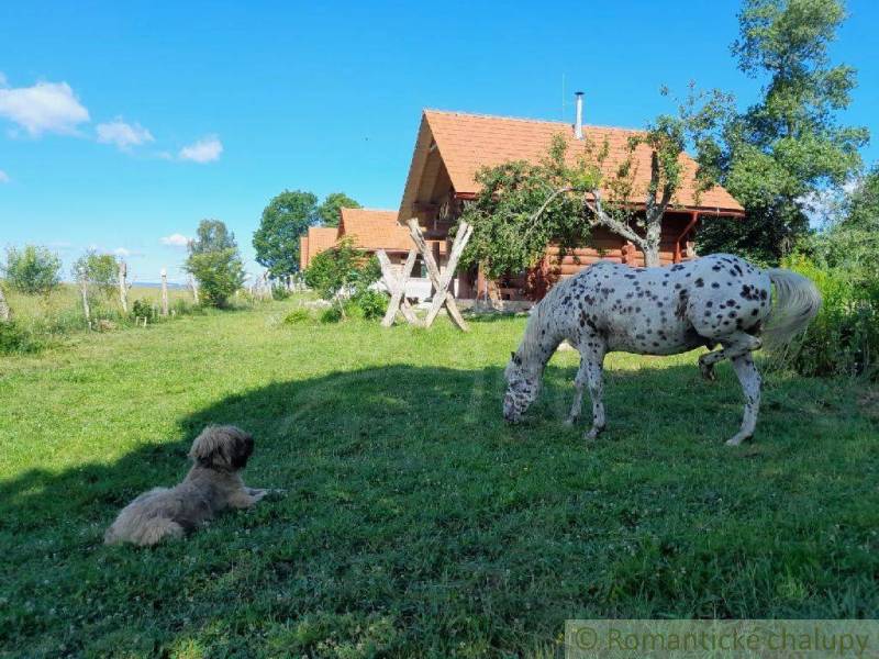 Zemiansky Vrbovok Nyaraló eladó reality Krupina