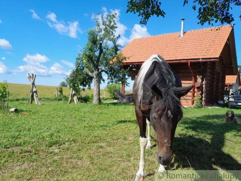 Zemiansky Vrbovok Nyaraló eladó reality Krupina