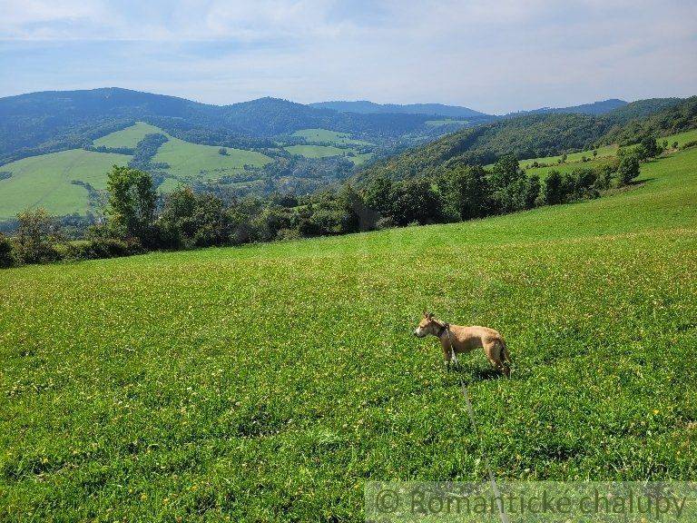 Púchov Kertek eladó reality Púchov