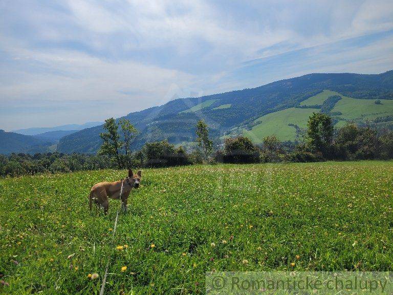 Púchov Kertek eladó reality Púchov