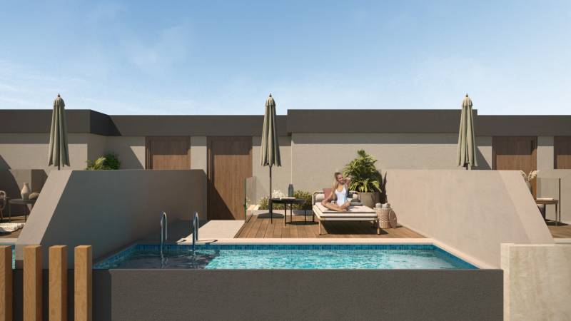 Cam16-Pool elevation-PPL.jpg