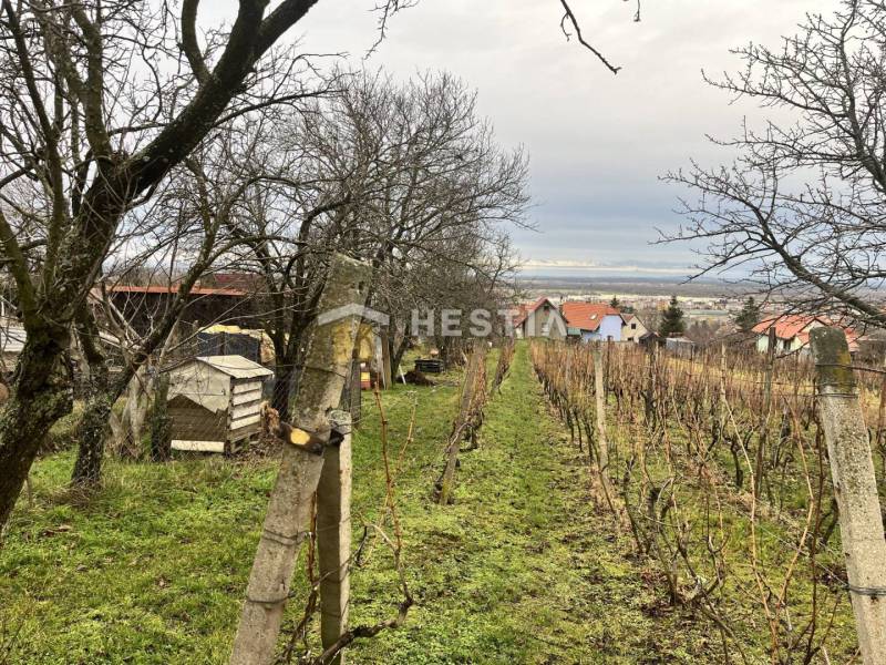 Skalica 2 szobás lakás eladó reality Skalica